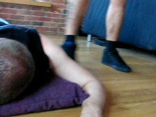 trainer trample trainer trample / trainer ball