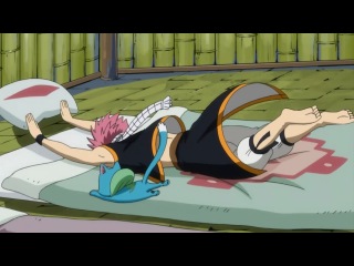 prank on anime fairy tail (well, how do i sleep between an animal and a pervert)