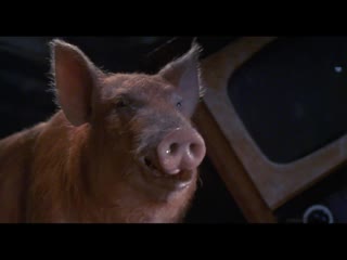 animal farm - 1999