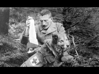 animals in the first world war / animali nella grande guerra - 2015