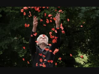 leaning into the wind: andy goldsworthy - 2017