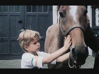 everyone dreams of a horse / jeder tr umt von einem pferd - 1988