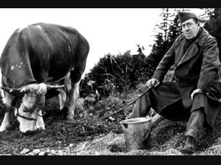 the cow and the soldier / la vache et le prisonnier - 1959